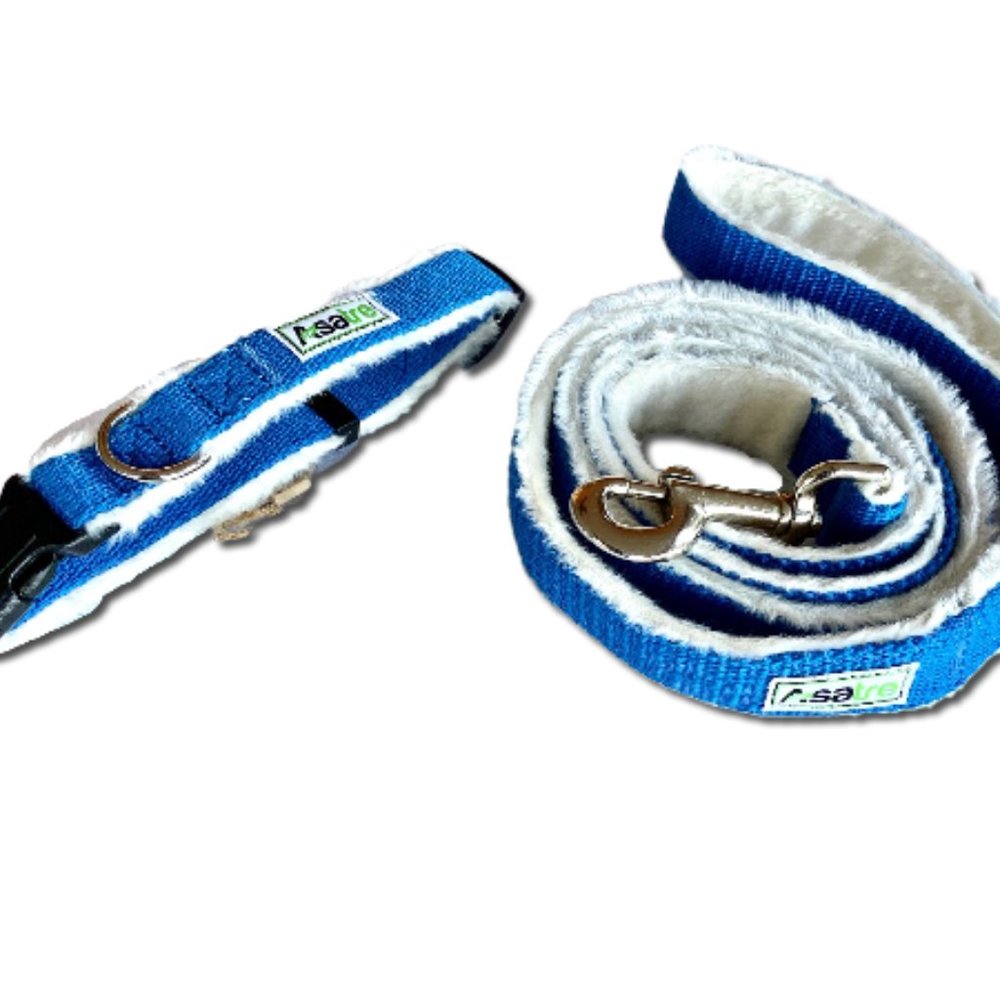 Asatre Hemp Dog Collar and Leash (Blue)